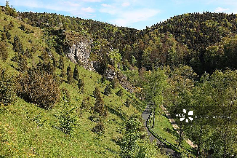 草原和杜松，景观在Kleinziegenfelder Tal，自然保护区，Weismain, Lichtenfels区，上法兰克尼亚，巴伐利亚，德国，欧洲图片素材