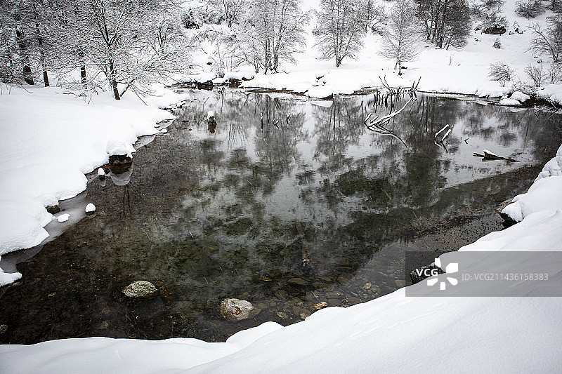 冬天池塘里的倒影，上乌巴耶，阿尔卑斯上普罗旺斯，法国图片素材