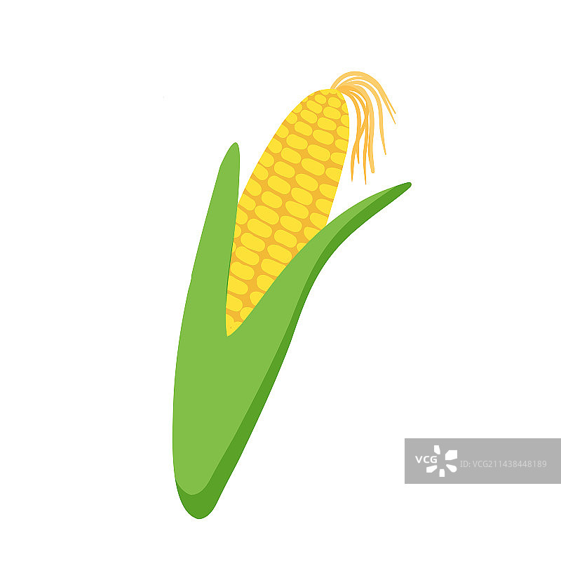 玉米为菜单手绘玉米芯图片素材
