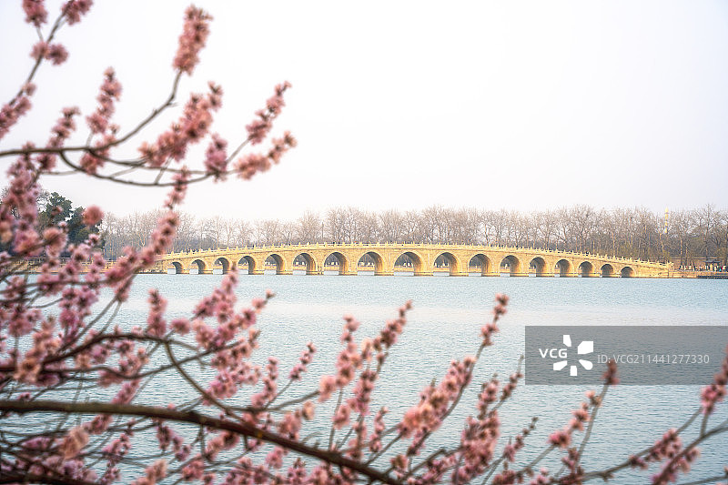 春天北京颐和园桃花盛开图片素材