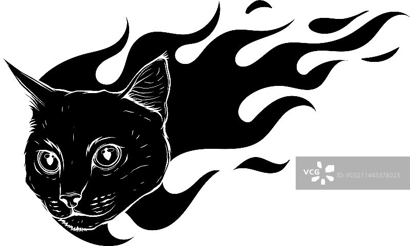 黑影的猫头与火焰图片素材