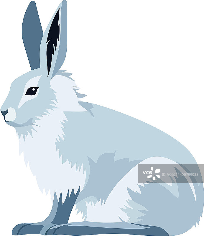 毛茸茸的蓝兔子坐着图片素材