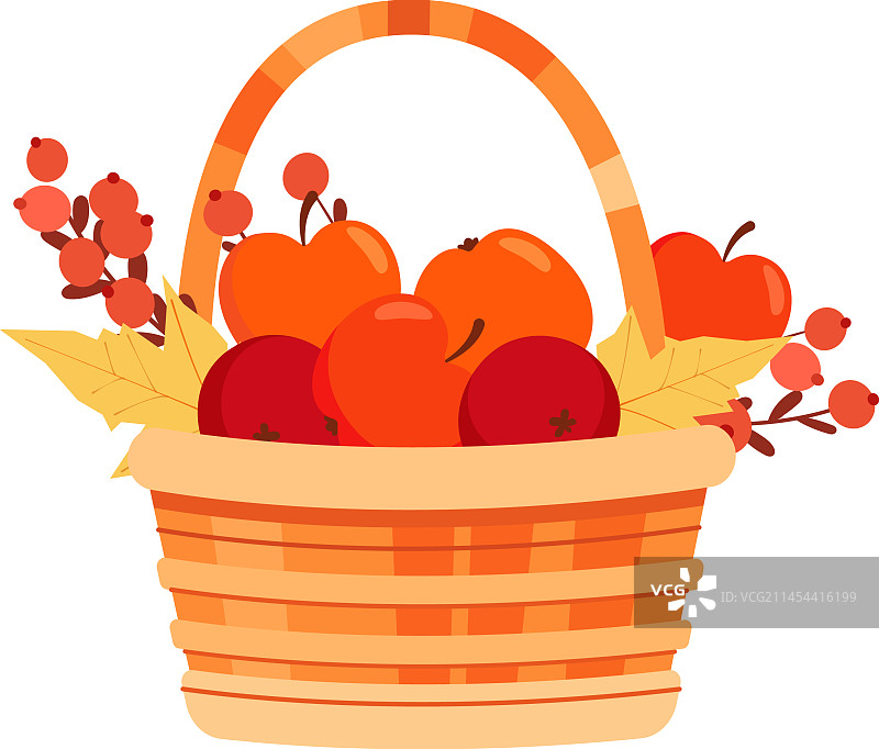 篮子里装着秋天的水果和浆果图片素材