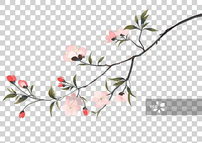 春天海棠花背景图片素材