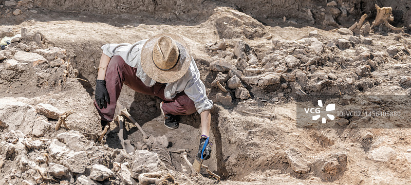 考古学家正在挖掘骨架图片素材