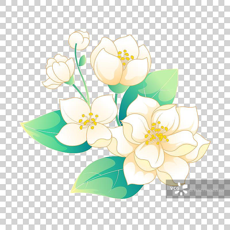 中国风鲜花茉莉花矢量插画花朵素材图片素材