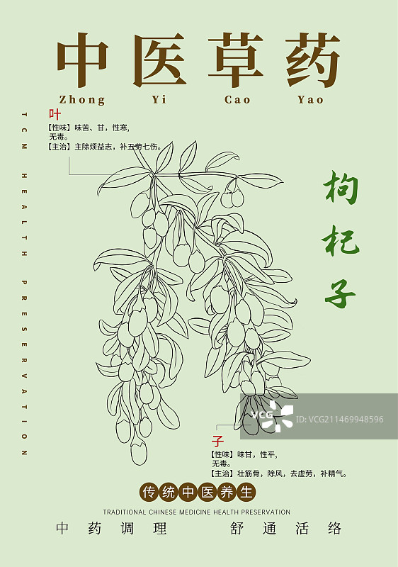 手绘中草药枸杞特写植物插画版式设计海报图片素材