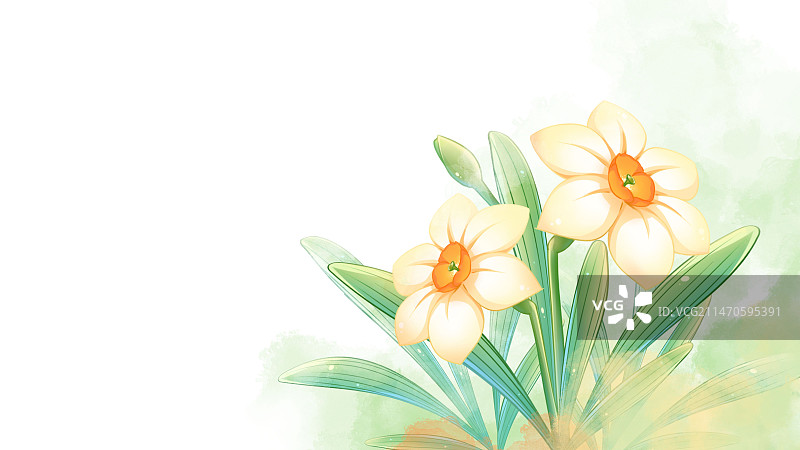 水仙花，唯美清新水彩花卉系列插画图片素材