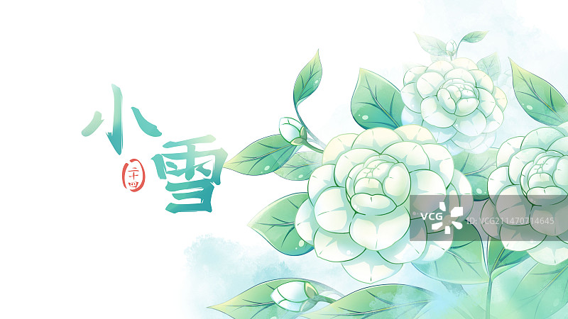 小雪——山茶花，清新水彩二十四节气花卉系列海报图片素材