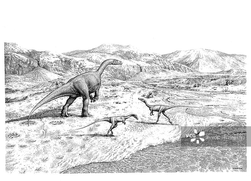 原蜥脚类和兽脚类恐龙，插图图片素材
