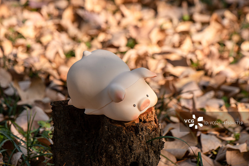猪猪玩偶树叶堆中戏耍的场景图片素材