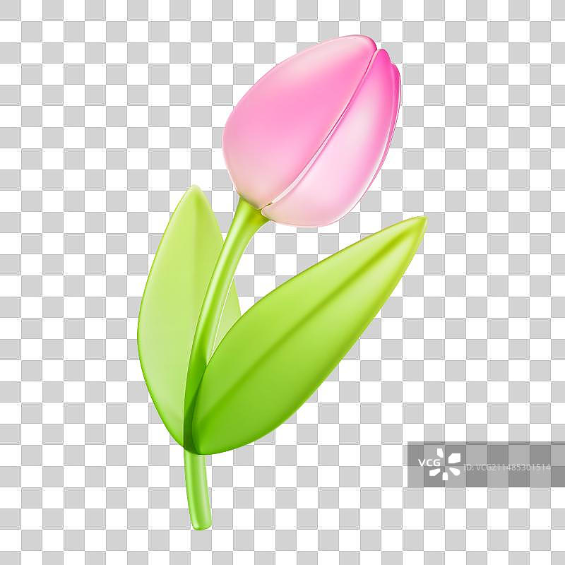 3D立体元素郁金香春日花朵盛放图片素材