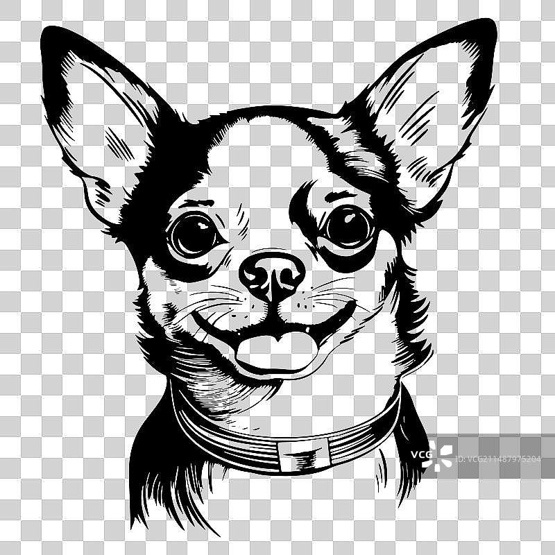 一只吉娃娃狗的肖像手绘素描图片素材