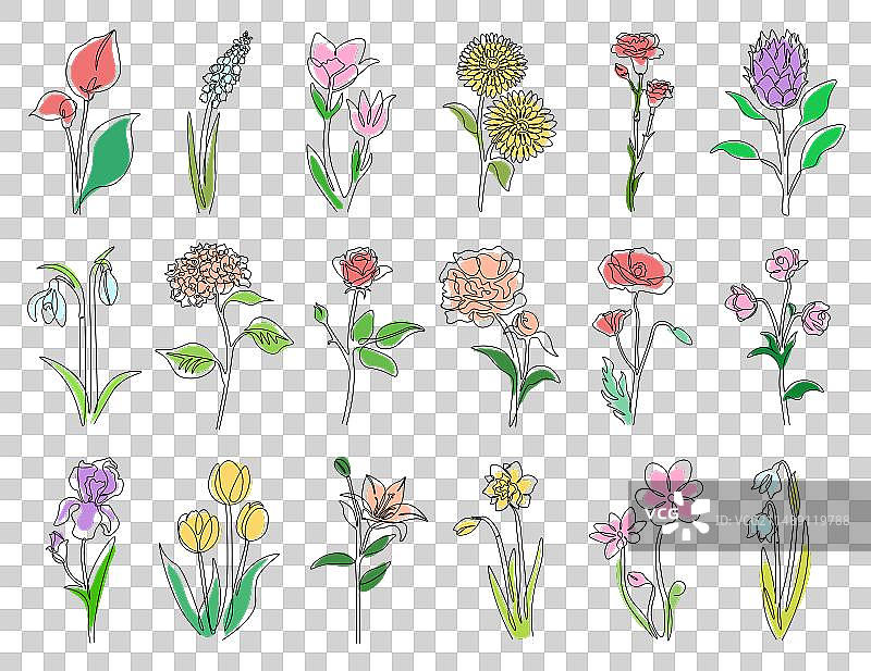 花卉线彩色玫瑰，郁金香和洋甘菊图片素材
