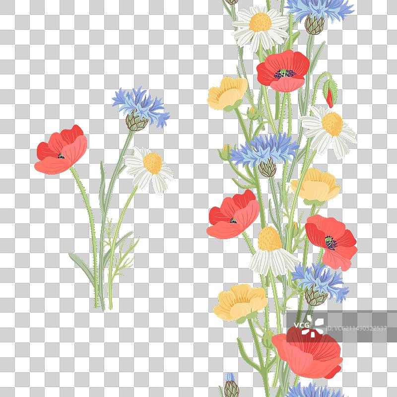 绘制野花无缝花环图片素材