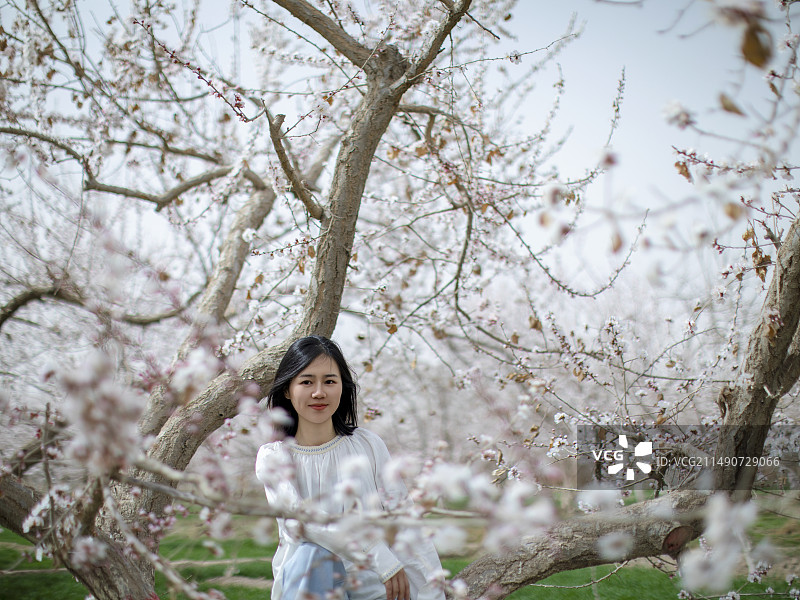 春天杏花盛开的美丽少女图片素材