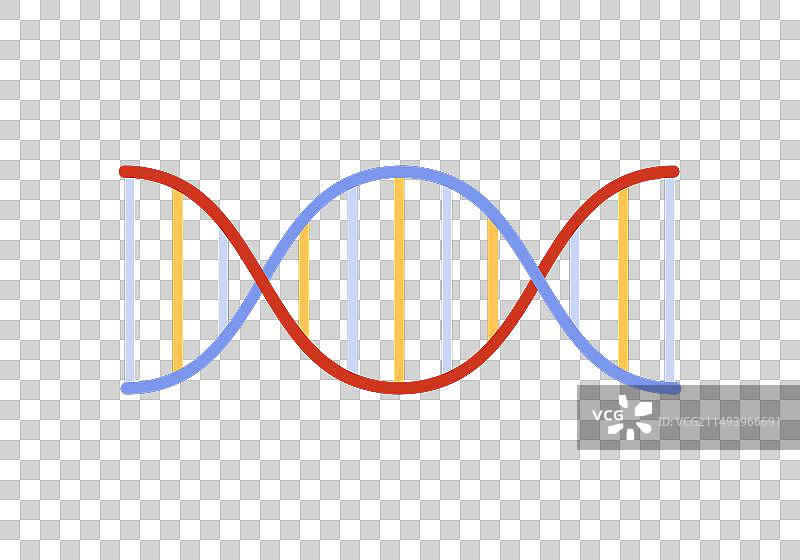 DNA螺旋分子的科学模型图片素材