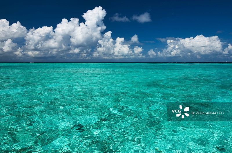 马尔代夫热带海滩上晶莹碧绿的海水图片素材