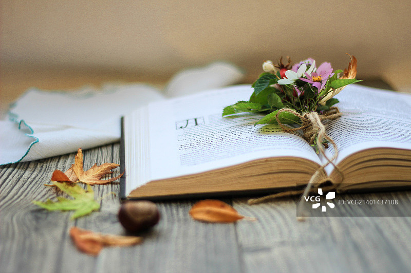 打开桌上有秋花的书图片素材