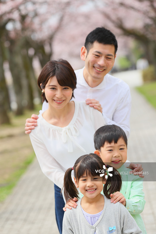 一个日本家庭在城市公园里开着樱花图片素材