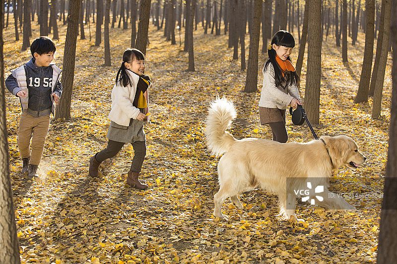 三个小孩和宠物狗在秋日树林里玩耍图片素材