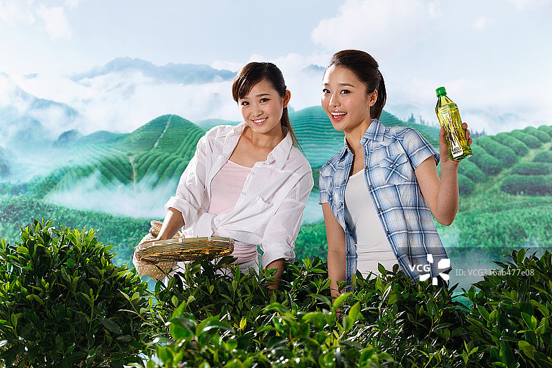 两个东方青年女人在茶园采茶图片素材