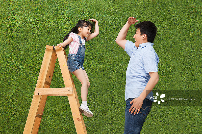 女孩站在梯子上和父亲比身高图片素材