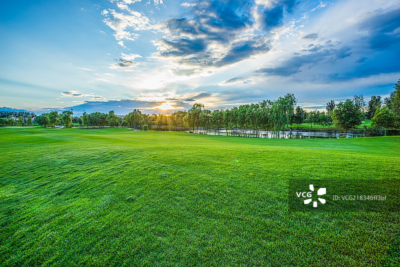 夕阳下的高尔夫球场图片素材