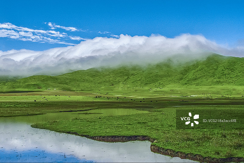 青藏高原若尔盖花湖湿地夏季清晨图片素材