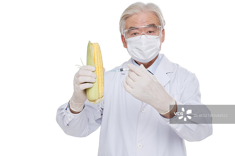 一个老年医生正在为玉米注射图片素材