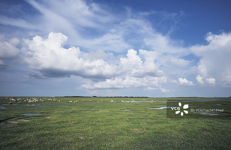 草原蓝天白云环境牧场-科尔沁乌兰毛都草原图片素材