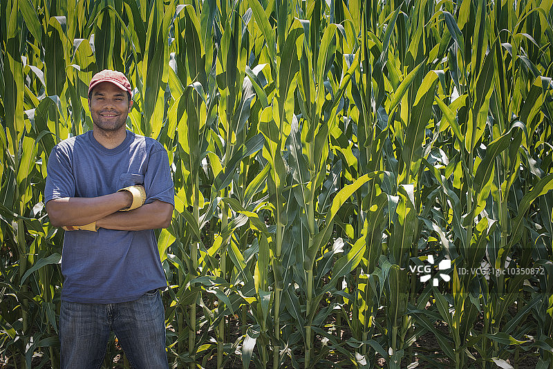 一个年轻人双臂交叉地站在一棵很高的玉米前面，玉米在地里。图片素材