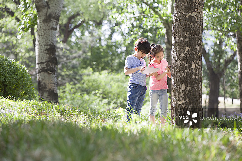 儿童在树林里嬉戏玩耍图片素材