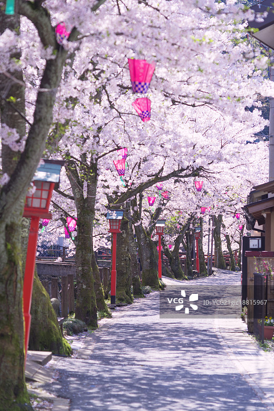春天有樱花、木崎温泉。日本关西木崎兵库县图片素材