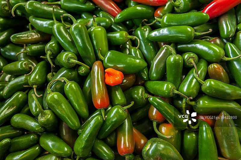 美味的绿色墨西哥辣椒图片素材