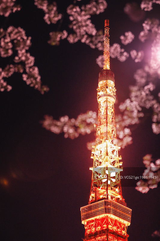 樱花和东京塔图片素材