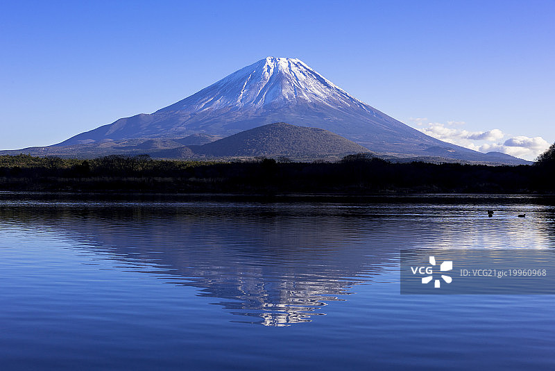 正二湖与倒映的富士山，藤川口町镇，山ashi县，越新地区，日本图片素材