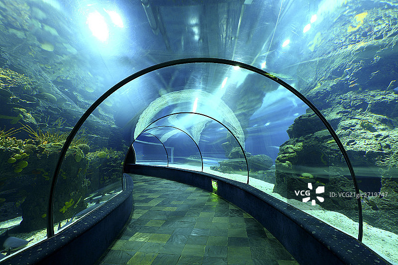 Aquarium图片素材