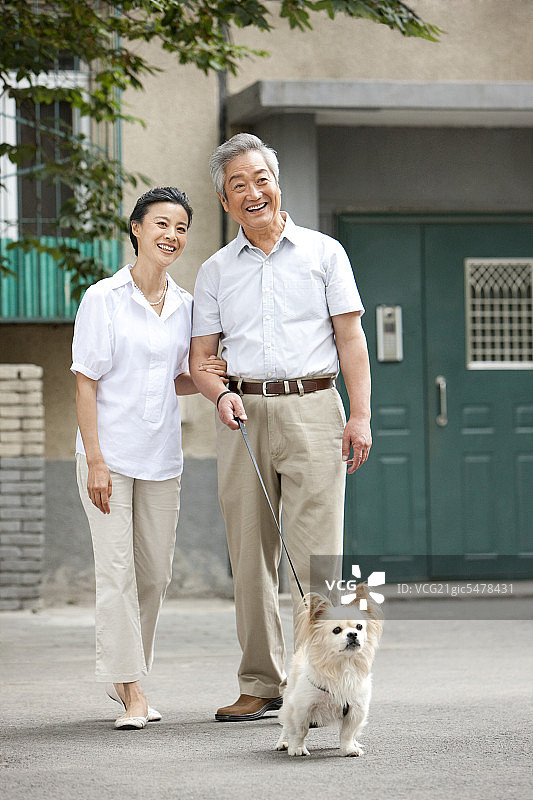 老年夫妇在普通社区门口遛狗图片素材