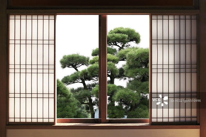 打开日本滑动门与绿色的树在背景图片素材