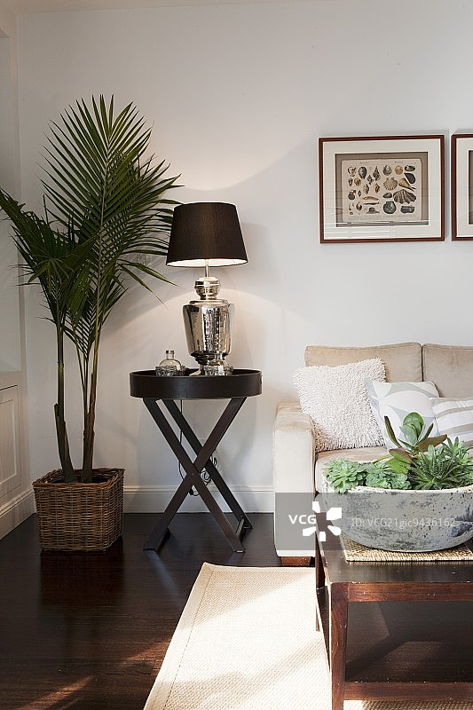 现代客厅角落边桌台灯旁的盆栽棕榈树图片素材
