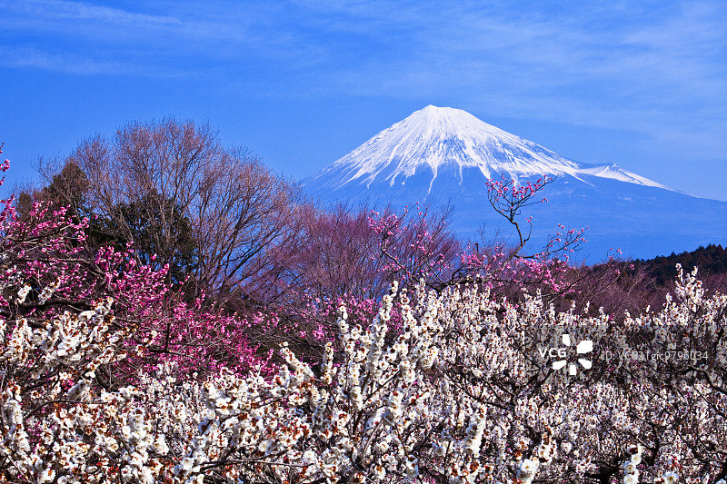 日本富士山图片素材