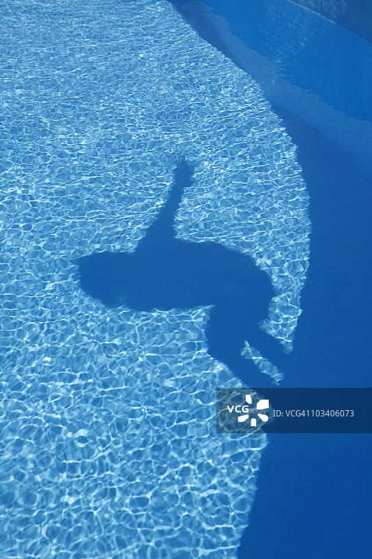 一个人跳进游泳池的影子图片素材