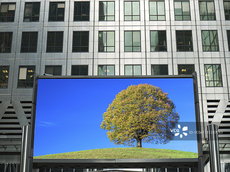 孤独的树在广告公告牌，伦敦，英国图片素材