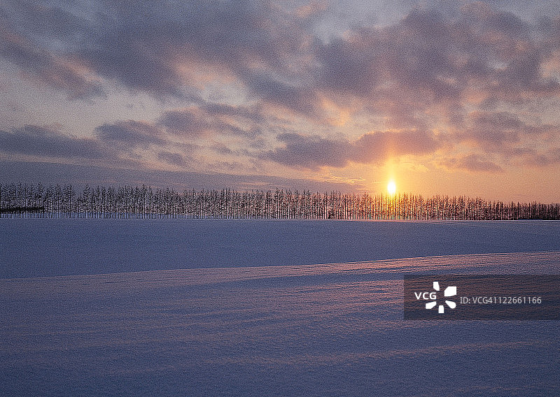 早晨的太阳和雪白的田野图片素材