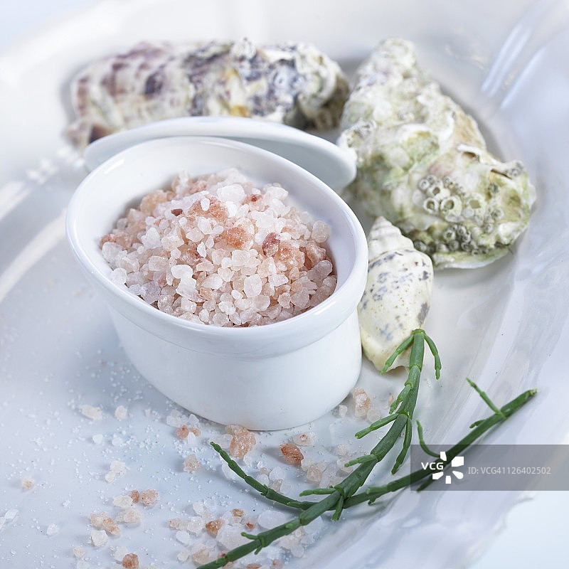 海盐晶体放入碗中，托盘中放贻贝和香葱图片素材