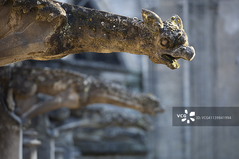 法国图尔市，一只滴水嘴兽正注视着圣加廷大教堂的回廊。图片素材