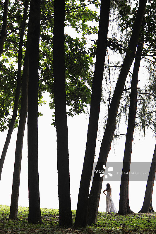 穿白衣服的女人站在树下图片素材