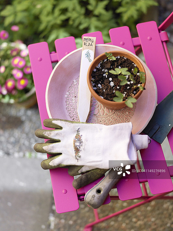 带园艺手套和盆栽幼苗的静物生活图片素材