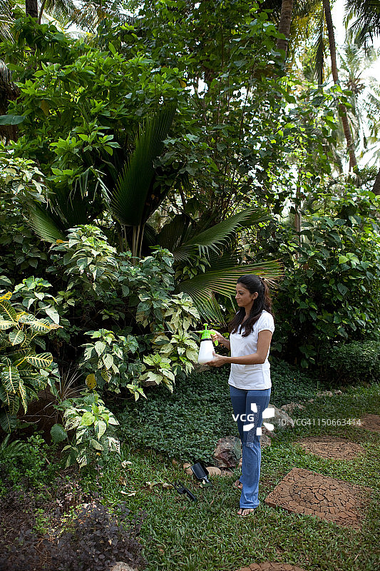 在花园里给植物浇水的女人图片素材